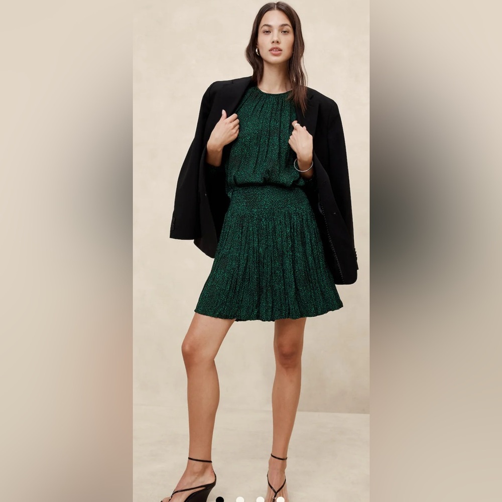 Banana Republic Pleated Skirt